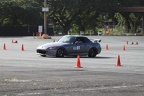 IMG 4503
