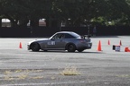 IMG 4508