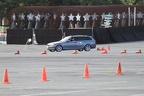 IMG 4521