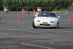 IMG 4535