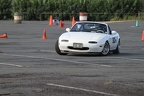 IMG 4536