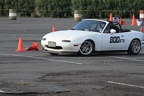 IMG 4537