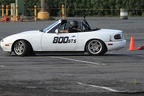 IMG 4541