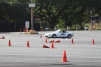 IMG 4542