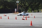IMG 4543