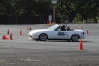 IMG 4545