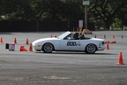 IMG 4546
