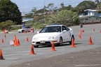 IMG 9004