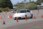 IMG 9005