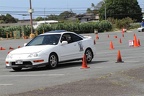 IMG 9011