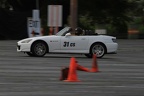 IMG 3055