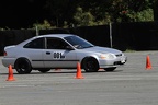IMG 9004