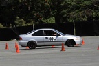 IMG 9006