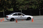IMG 9007