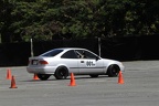 IMG 9009