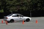 IMG 9008