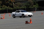 IMG 9167