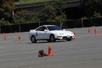 IMG 9168
