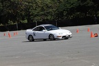 IMG 9172
