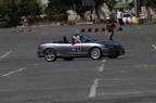 IMG 1648