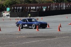 IMG 3853