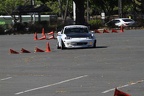IMG 4061