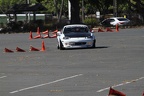 IMG 4062