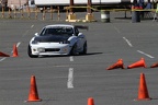 IMG 4081