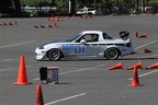 IMG 4087