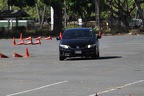 IMG 4099