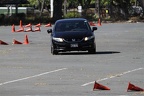 IMG 4101