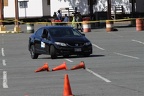 IMG 4117