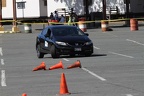 IMG 4118