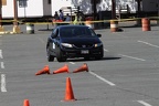 IMG 4119