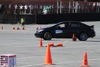 IMG 4134