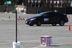 IMG 4137
