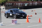 IMG 4141