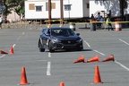 IMG 4161
