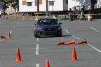 IMG 4162