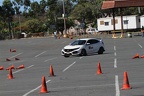 IMG 4186