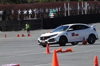 IMG 4197