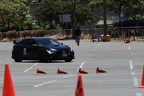 IMG 9161