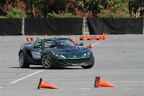 IMG 9162