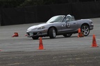 IMG 0886