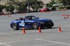IMG 9118
