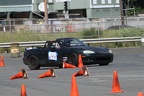 IMG 9172