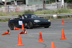 IMG 9173
