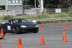 IMG 9174