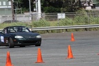 IMG 9175