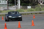 IMG 9177